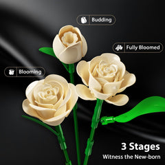 PLAXSOON no vase design note emphasizes versatile placement on surfaces
