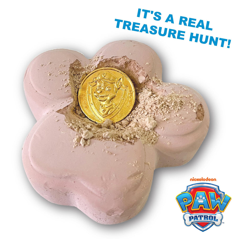 Collectible PAW Patrol coins provide character designs for kids to collect through play.