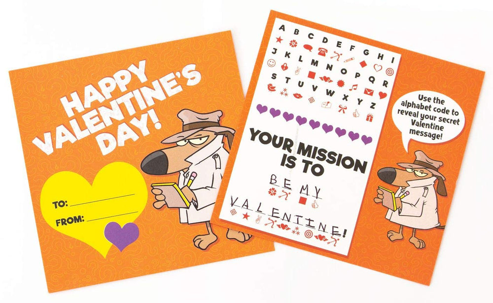 Playhouse Secret Codes write-to-from area on back for personalization