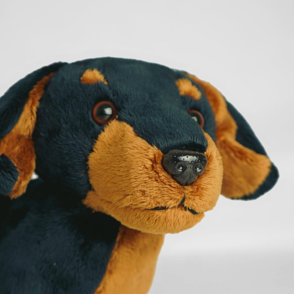 PMS sausage dachshund plush gift idea for kids.