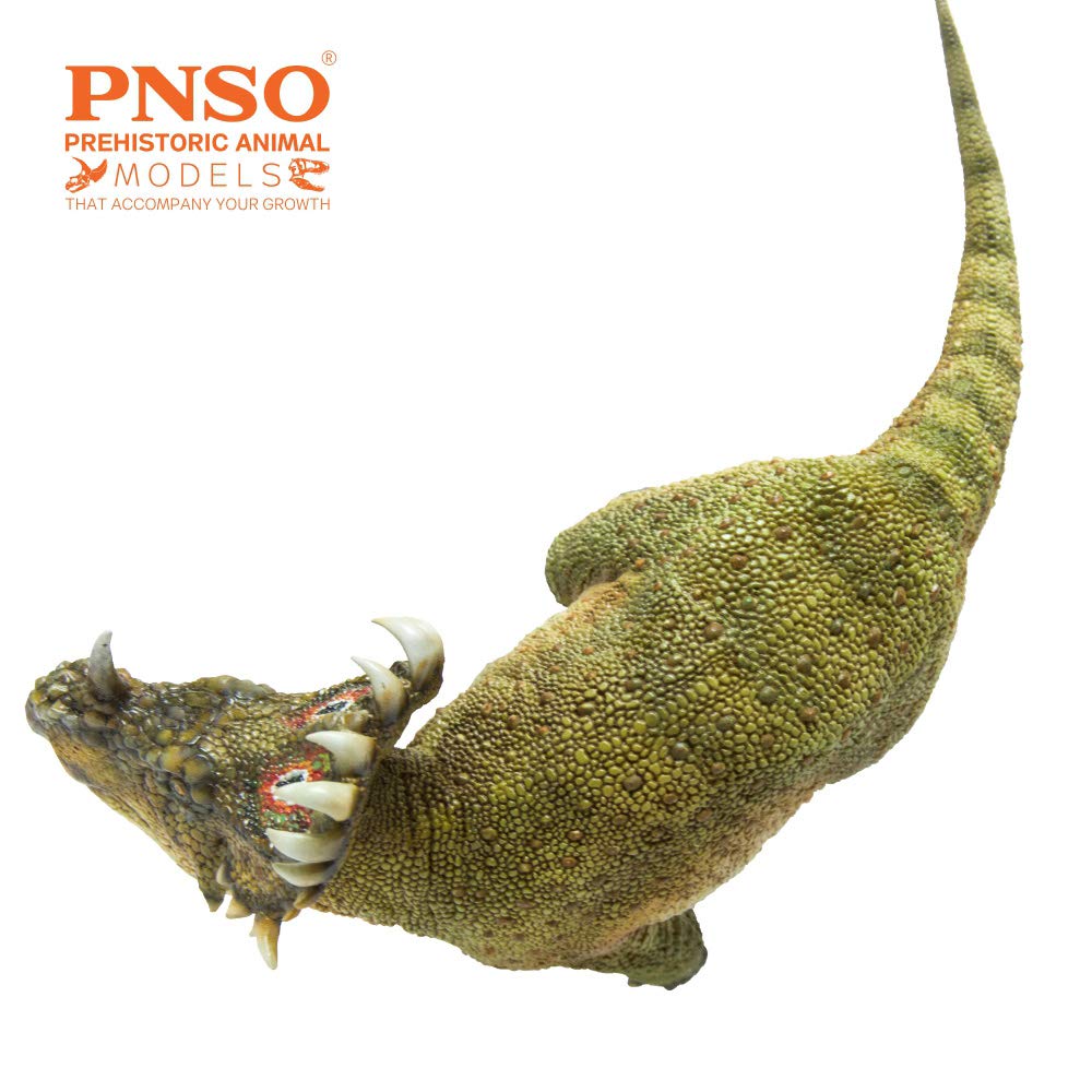 PNSO Sinoceratops 40 A-Qi packaging box for gifting or shelf-ready setup.