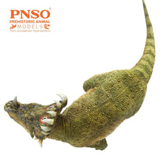 PNSO Sinoceratops 40 A-Qi packaging box for gifting or shelf-ready setup.