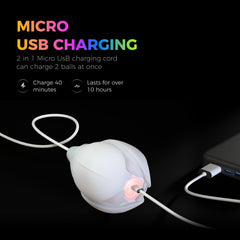 POITOI LED Poi Balls with remote controller enabling synchronized routines