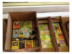 Pokémon TCG English-printed cards ready for immediate play or display.