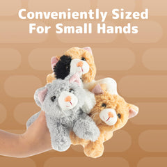 PREXTEX 6-inch kitten varied markings set offers variety for displays