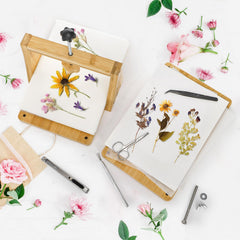Pumtus drying plates in use speed up petals drying in a press