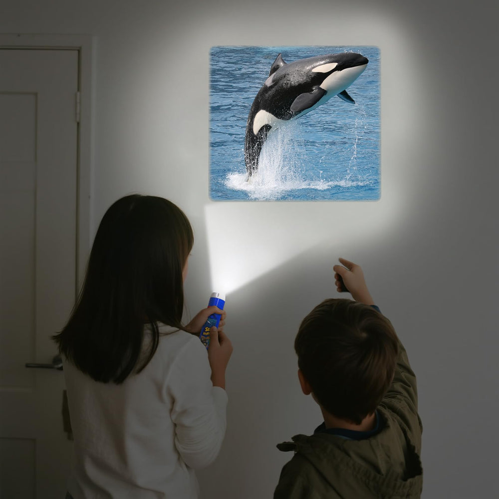 Three discs unlock 24 images for varied wall projections your child can explore