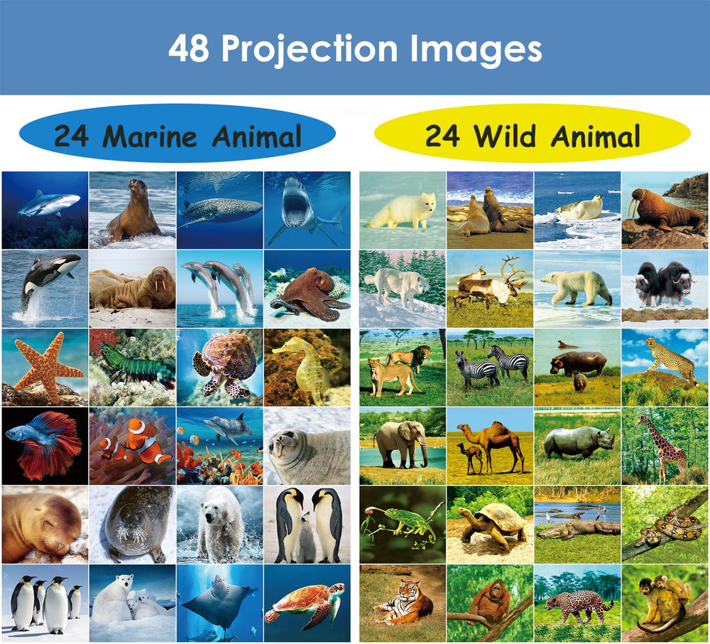 Pup Go wild animal elephant image supports memory and storytelling games.