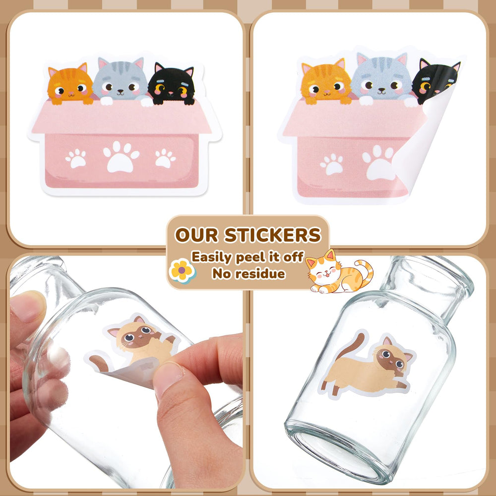 Qeeenar cat stickers on a laptop add playful style.