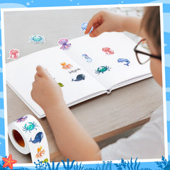 Qeeenar notebook and gadget stickers personalize everyday items.