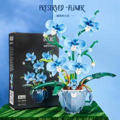 QFJ Ideas Blue Orchid office desk setup enhancing natural ambiance