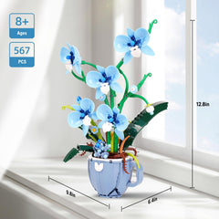 QFJ Ideas Blue Orchid on-table arrangement showcasing decorative potential