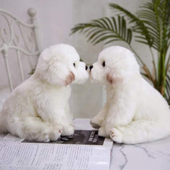 QREZAA soft plush pillow Maltese is ideal as a couch ornament or bedtime buddy.