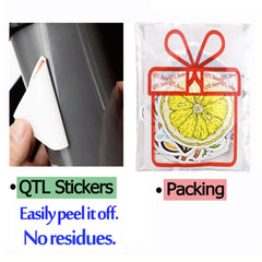 QTL stickers on water bottle example for outdoor use and durability