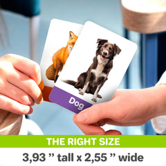 QUOKKA colors and shapes cards help kids identify hues and shapes with vivid illustrations