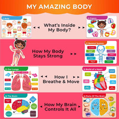 QUOKKA fully assembled anatomy book ready for immediate hands-on activities