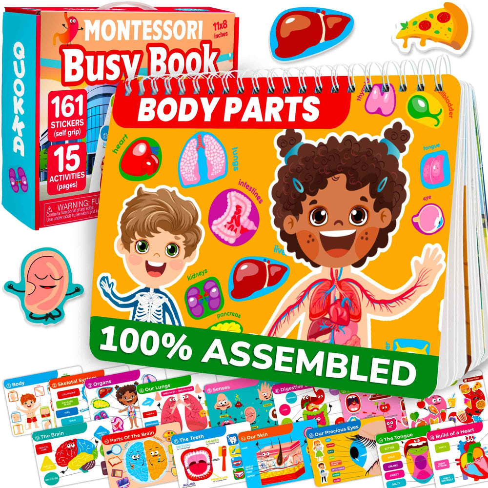 QUOKKA Human Body Busy Book cover featuring colorful anatomy themes to engage young learners