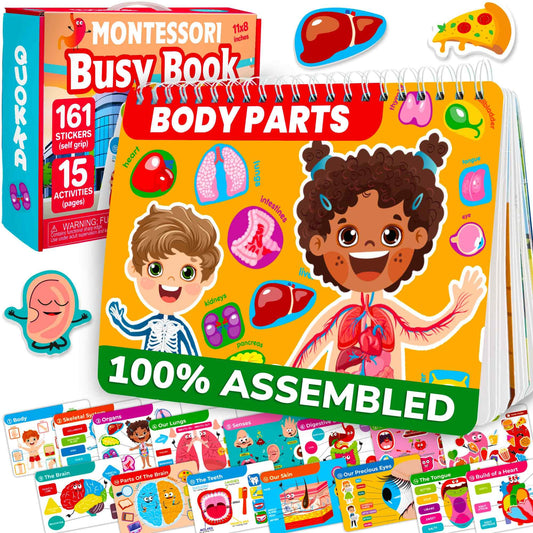 QUOKKA Human Body Busy Book cover featuring colorful anatomy themes to engage young learners
