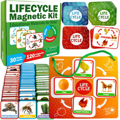 QUOKKA Life Cycle Kit Montessori visual demonstrates lifecycle concepts with magnetic cards for curious toddlers.