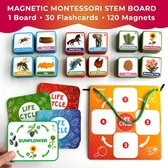 QUOKKA Magnetic Cards set reveals animals, plants, and bugs for hands-on exploration.
