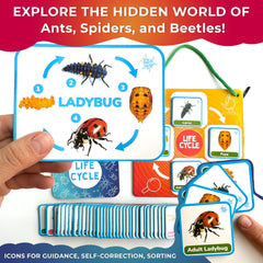 QUOKKA Preschool classroom tools support a structured science corner for kids.