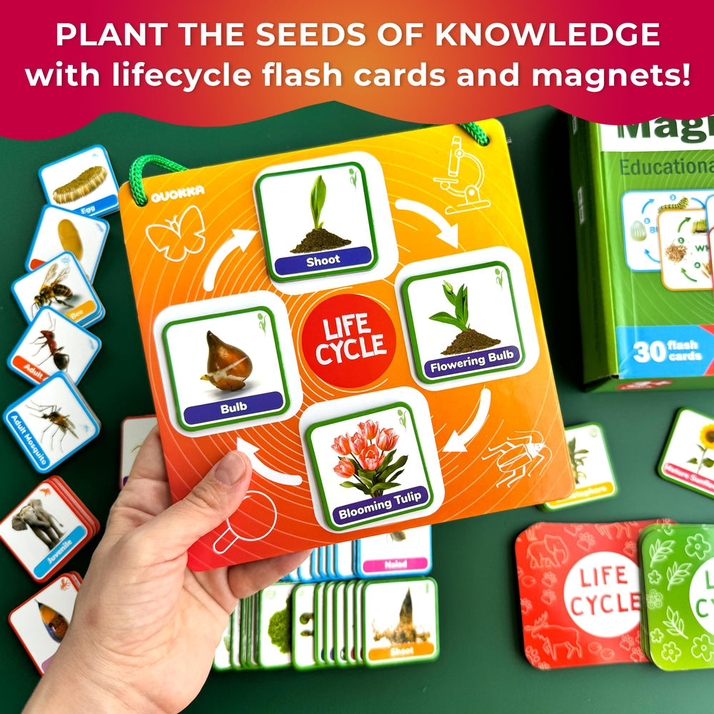 QUOKKA Toddler Science activities invite early learners to explore simple phenomena through play.