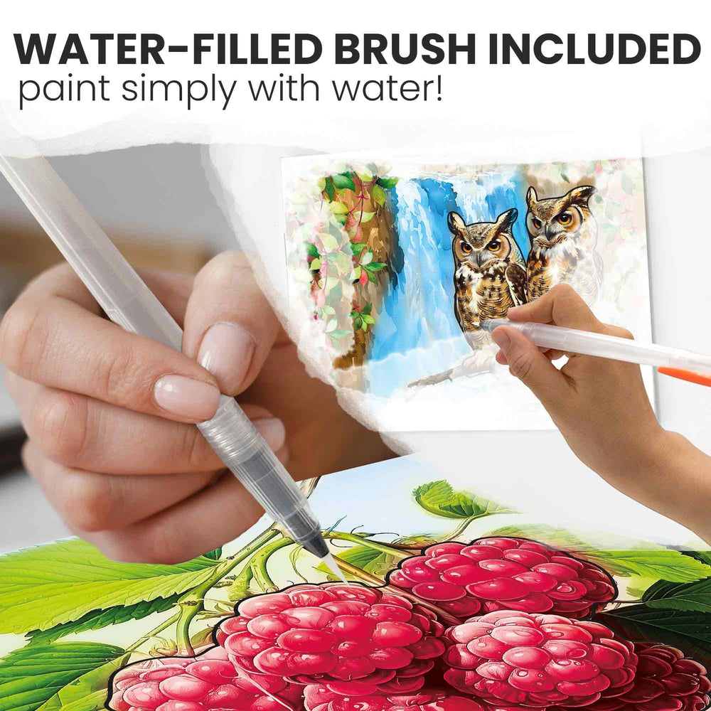 QUOKKA water painting 10 colors reveal showcases simple, engaging art for seniors