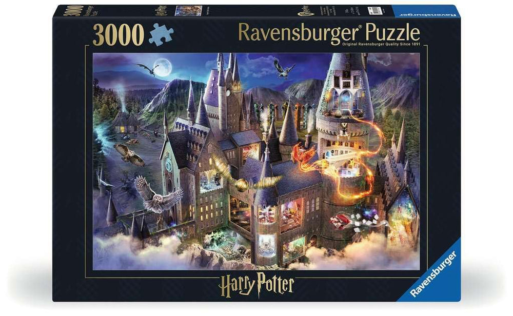 Ravensburger Harry Potter Hogwarts Castle interior map puzzle detail for immersive play