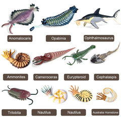 RCOMG Opabinia figurine ideal for science corners and storytelling sessions.