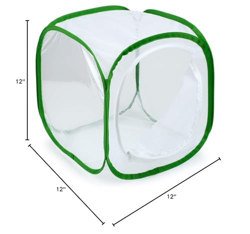 RESTCLOUD butterfly rearing kit ideal for classrooms or home use.