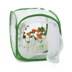 RESTCLOUD Clear vinyl window panel for watching metamorphosis without disturbance