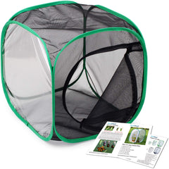 RESTCLOUD monarch habitat cage front view ideal for classroom observation.