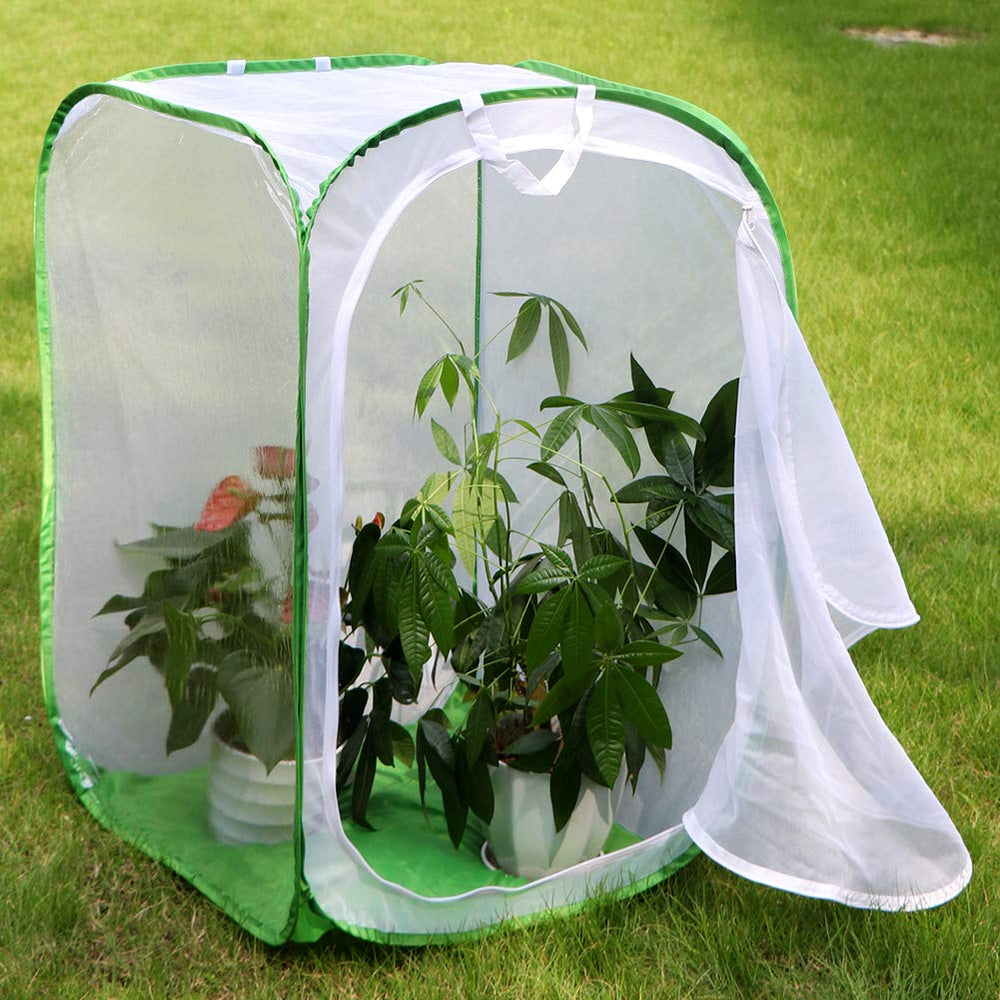 RESTCLOUD Monarch Habitat clear window for close observation of chrysalis and butterfly