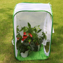 RESTCLOUD Monarch Habitat dimensions 24x24x36 for spacious caterpillar pen