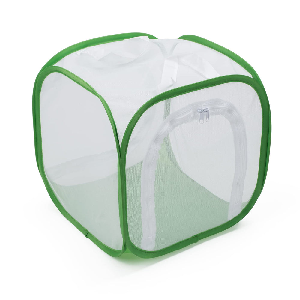 RESTCLOUD Quick start guide helps beginners raise healthy butterflies
