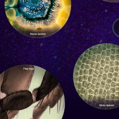 RIIPOO Portable microscope in a compact travel case