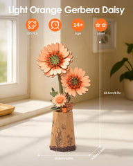 ROBOTIME assembled gerbera daisy showcases a vivid centerpiece after completing the kit