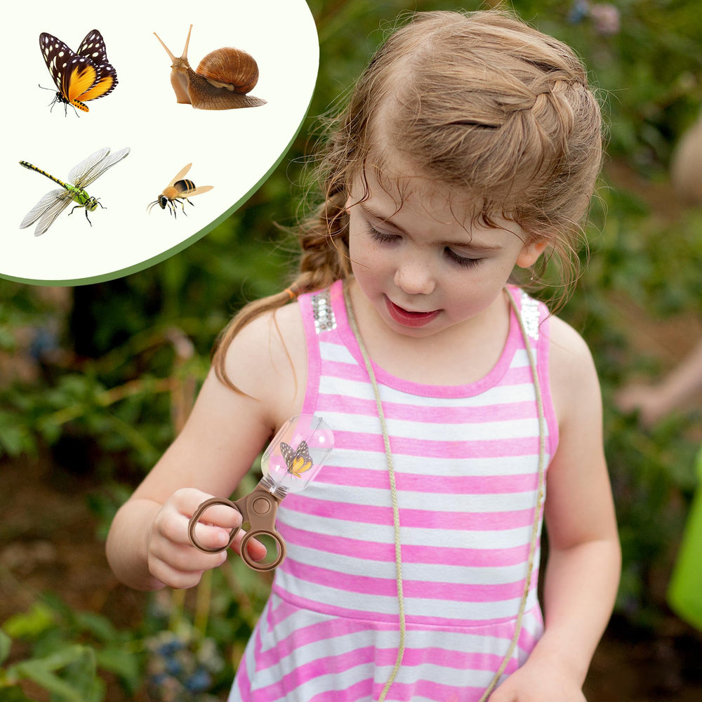 ROBOTIME bug catcher kit identification cards support early science learning.
