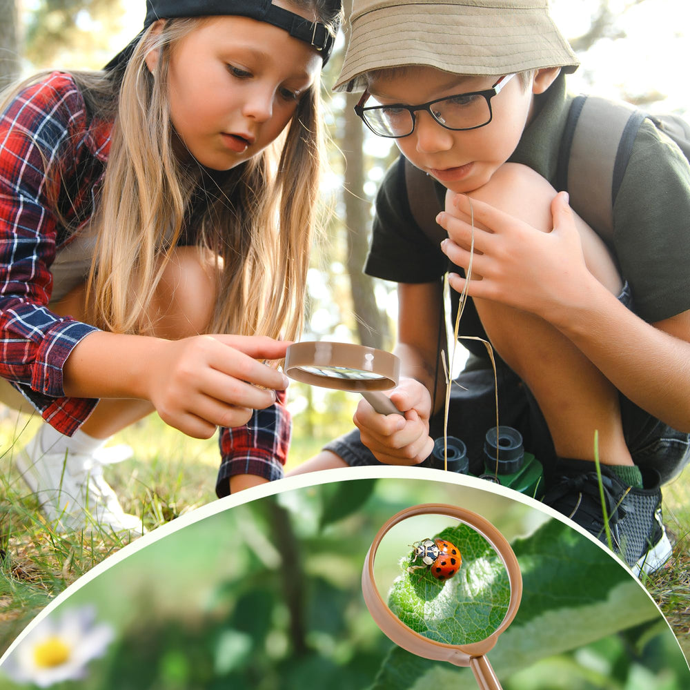 ROBOTIME bug catcher kit clamp captures specimens gently during play.