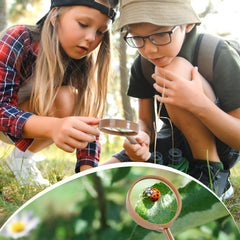 ROBOTIME bug catcher kit clamp captures specimens gently during play.
