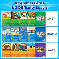 rokt-razo three difficulty levels boost inclusion for kids, teens, and adults during play
