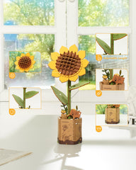 Rowood insect greeting cards pack with writable backs and paintable fronts