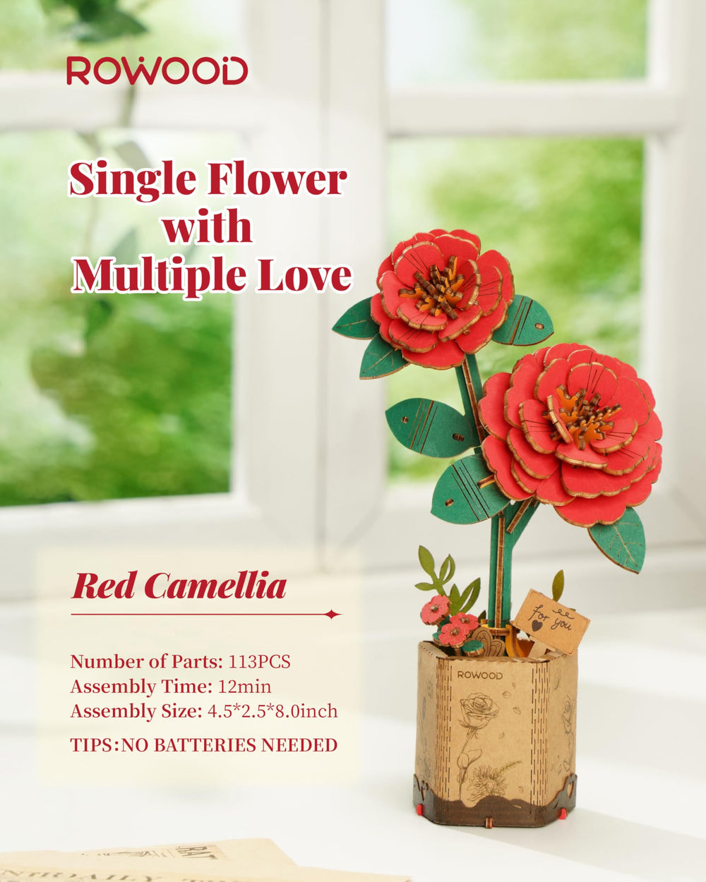 Rowood wooden flower kit gift packaging featuring insect-shaped cards