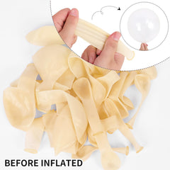 RUBFAC clear balloons 10 inch versatile size for layered balloon decor