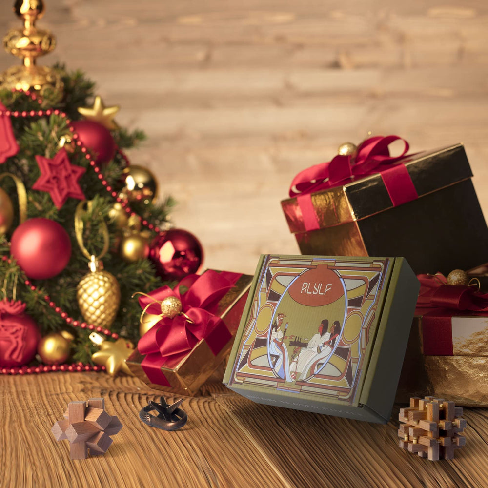 RLYLF interlock mind puzzle gifts for Christmas or birthdays.