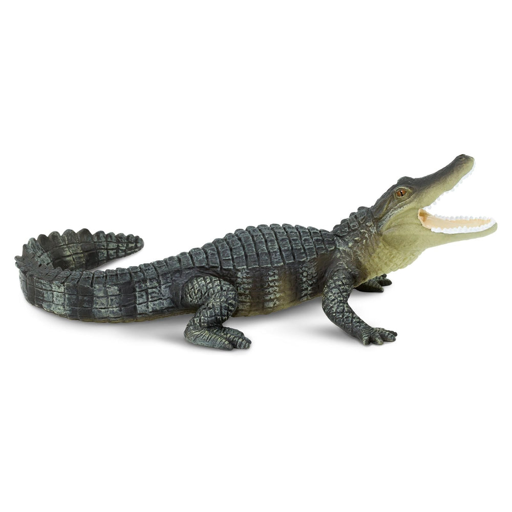 Safari Ltd Alligator figurine lifelike skin texture for exploration