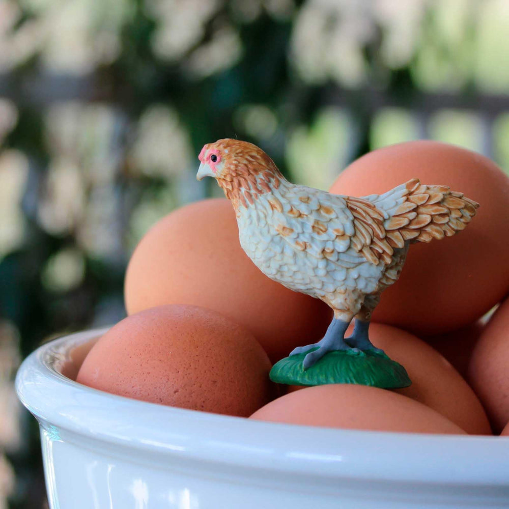 Safari Ltd Ameraucana chicken figurine blue-egg variant, ideal for science-themed activities.
