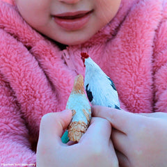 Safari Ltd Ameraucana chicken figurine with educational hangtag supports multilingual classroom learning.