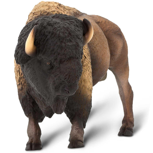 Safari Ltd bison figurine front view, durable wildlife toy for play and learning.