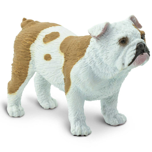 Safari Ltd Bulldog figurine close-up showing realistic details for collection displays